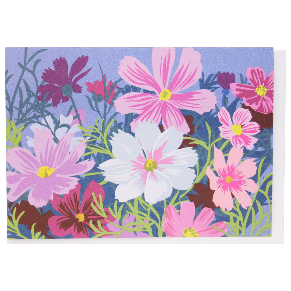 Cosmos Box of 10 Cards