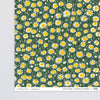 Daisies Gift Wrap