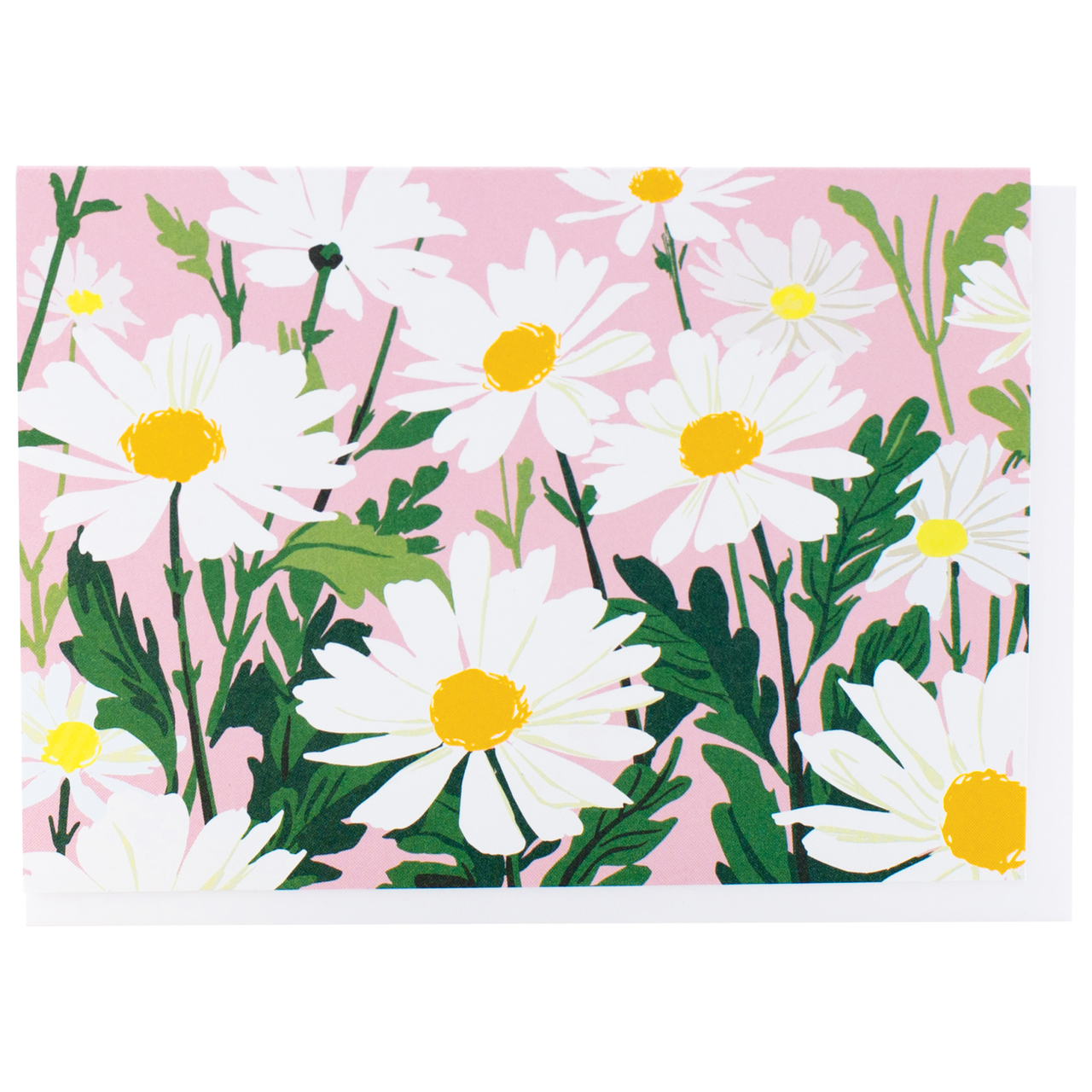Daisies Box of 10 Cards