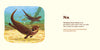 Animals of the National Parks