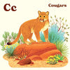 Animals of the National Parks
