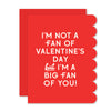 Big Fan of You Valentine