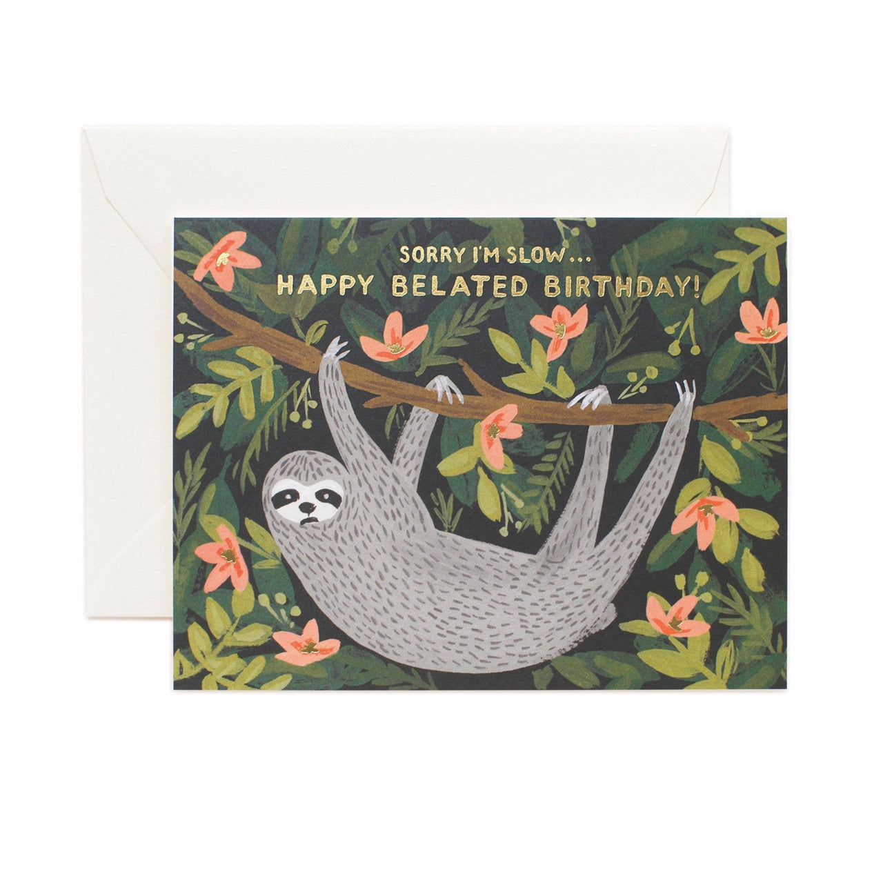 Sloth Belated Birthday