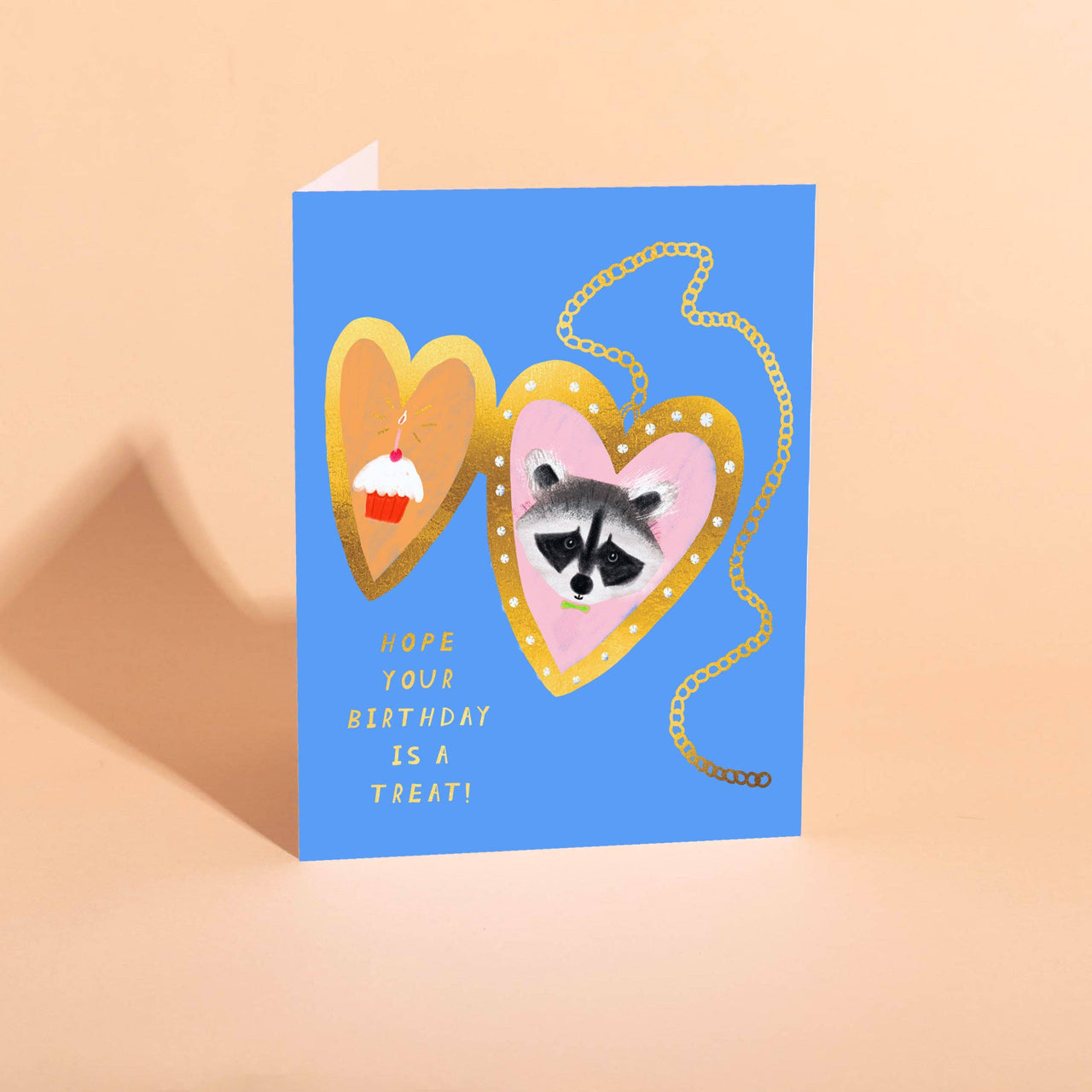 Raccoon Pal Birthday