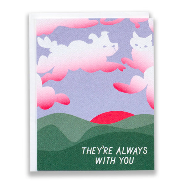 Pet Condolence