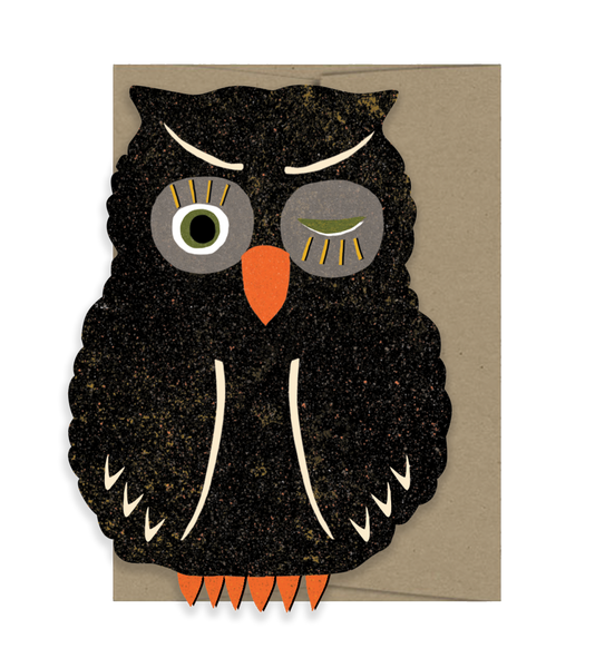 Owl Blink