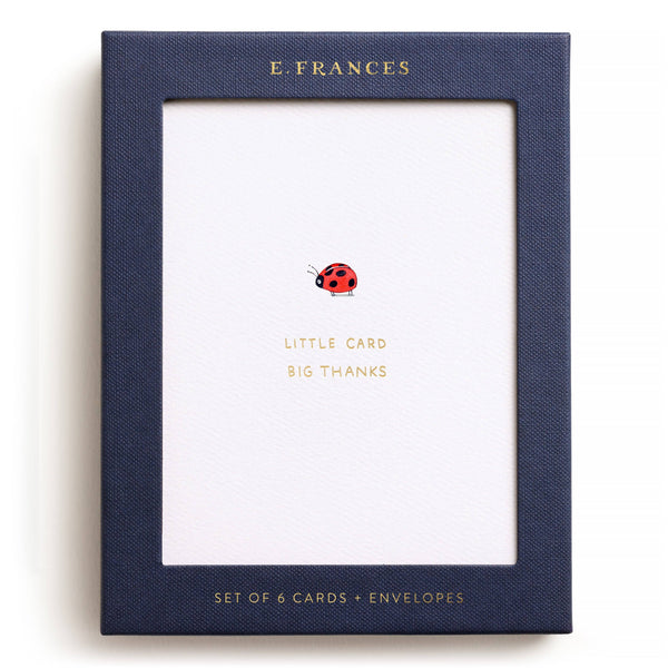 Little Card Big Thanks Boxed Set