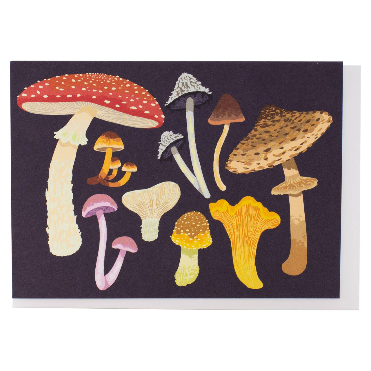Mushrooms Notes Box of 10