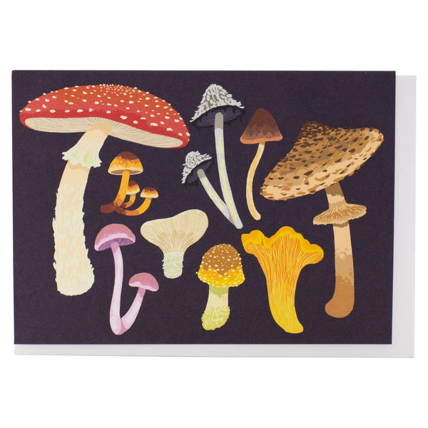 Mushrooms Notes Box of 10