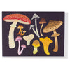 Mushrooms Notes Box of 10