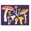 Mushrooms Notes Box of 10