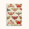 Moth Notebook