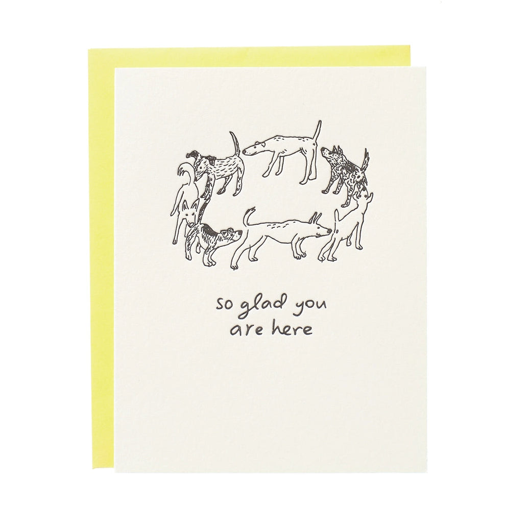 So Glad You Are Here