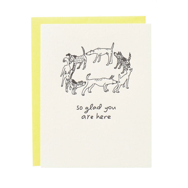 So Glad You Are Here