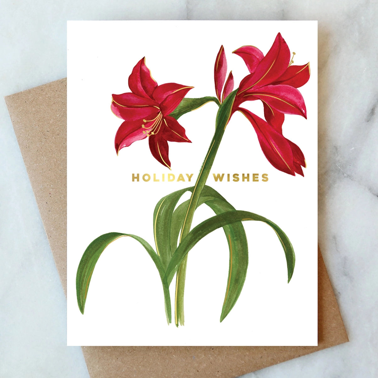 Amaryllis Holiday