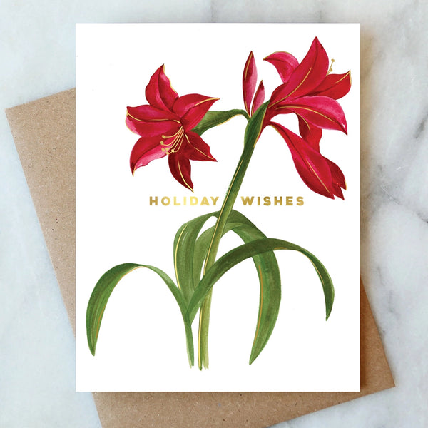 Amaryllis Holiday