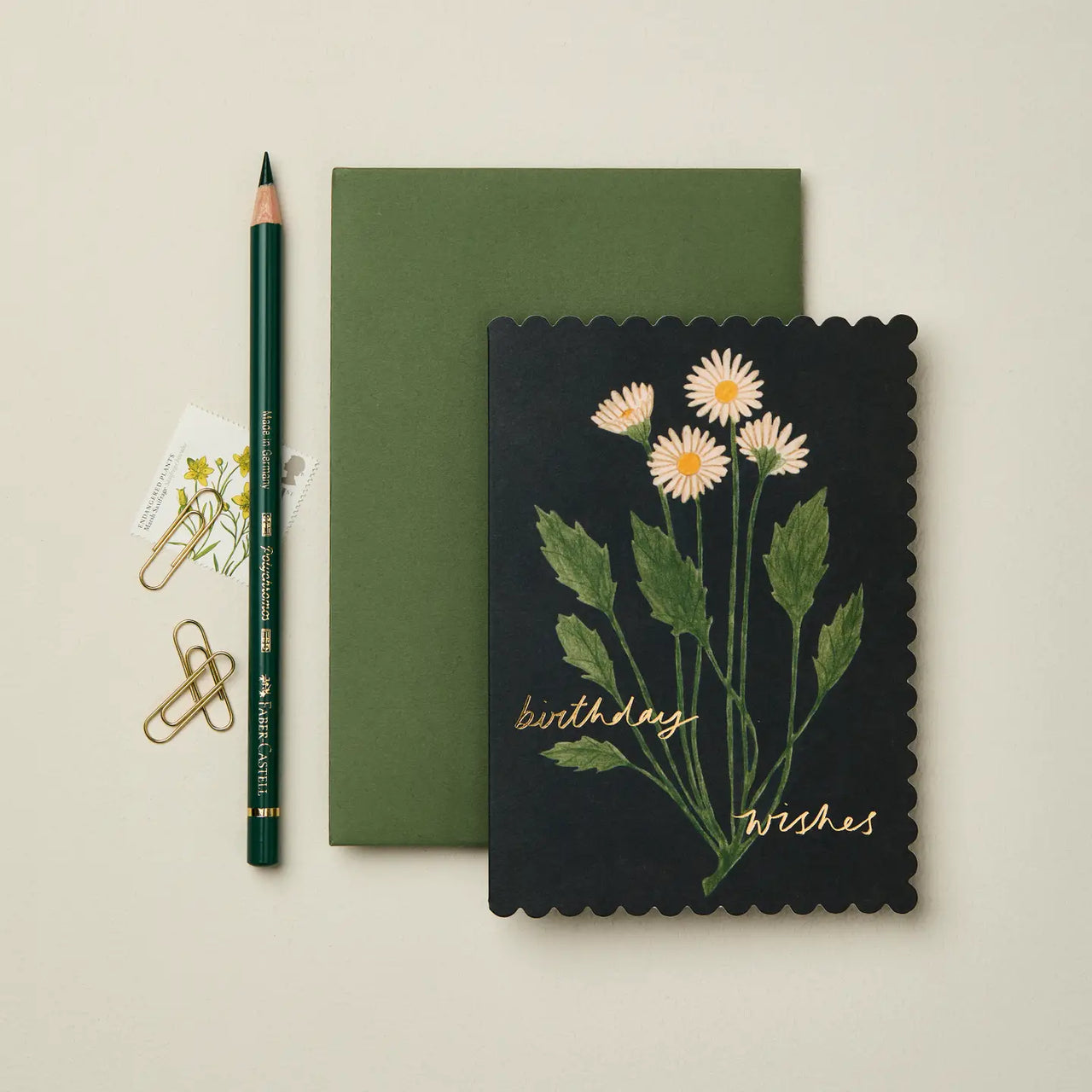 Botanical Daisy Birthday Wishes