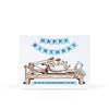 Pilates Birthday Cat