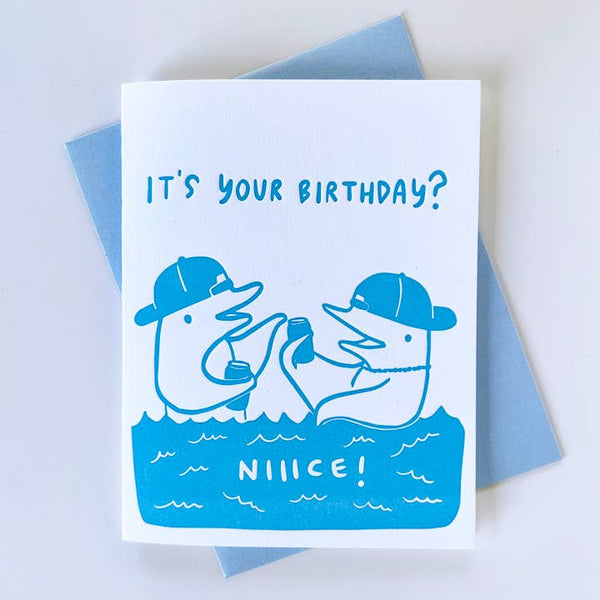 Dolphin Bro Birthday