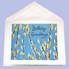 Pussy Willow Birthday