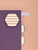 Stripe Sticky Note Set