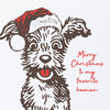 Merry Christmas Doggie