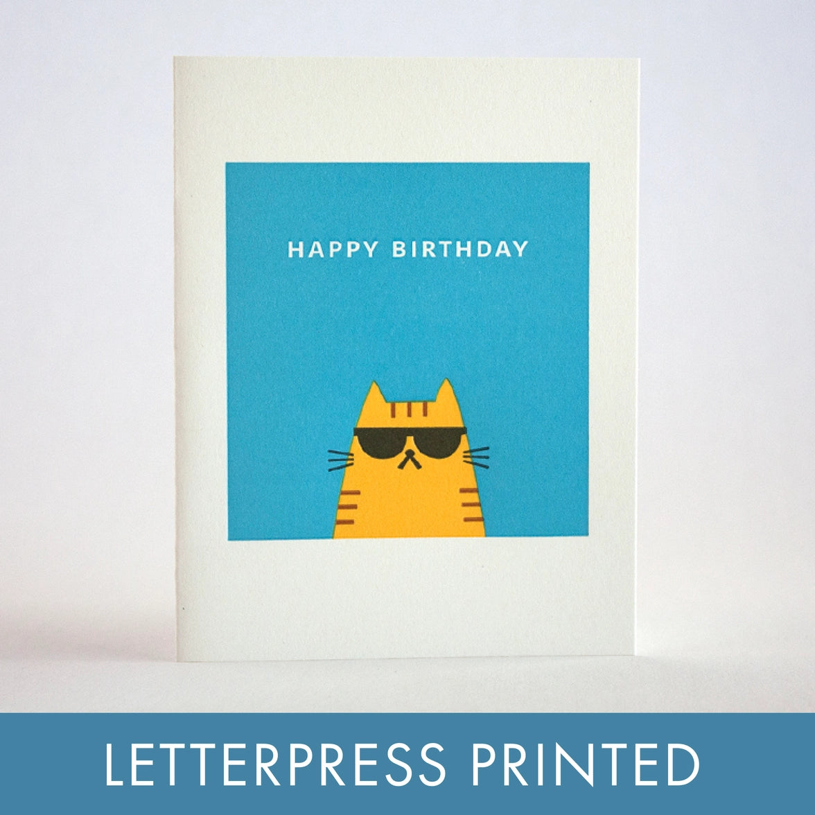 Cool Cat Birthday