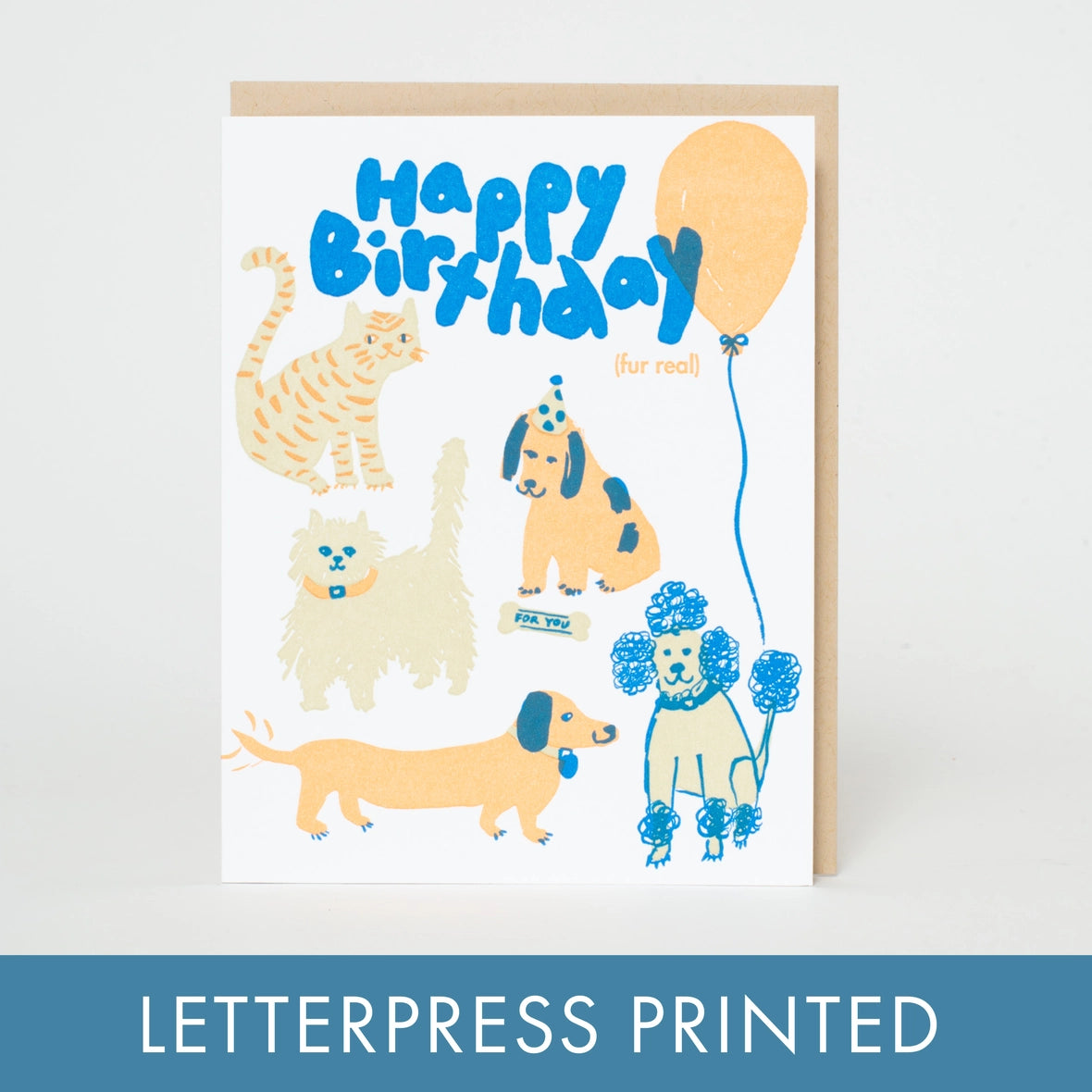 Birthday Dog & Cat Party