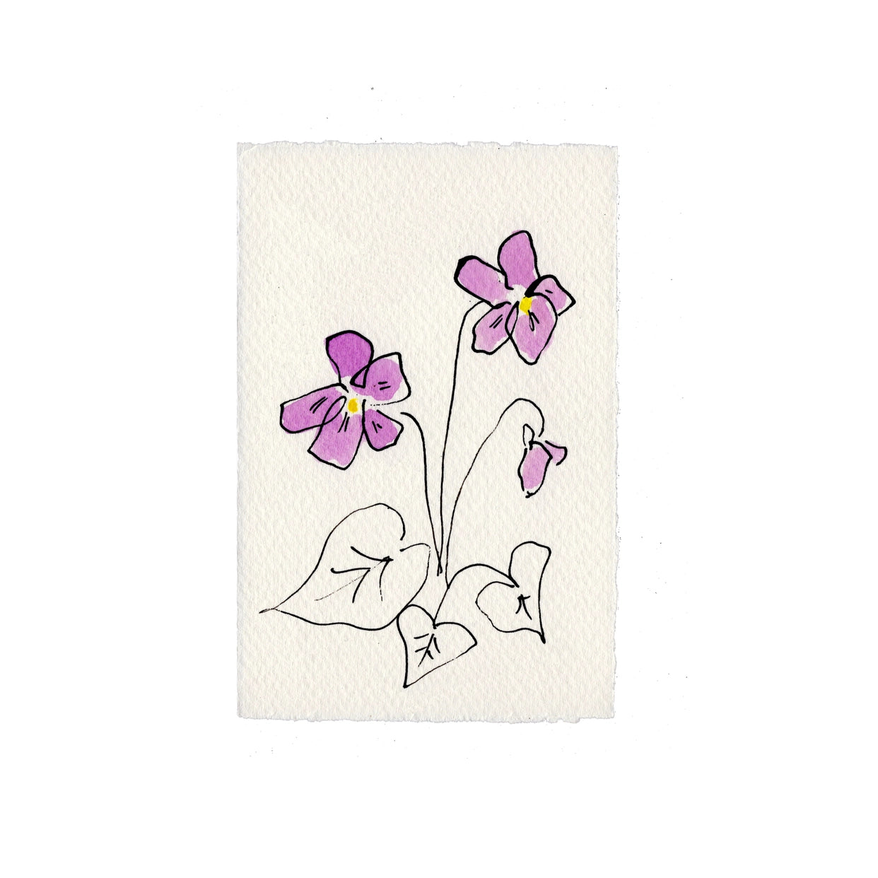 Violet
