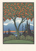 Orange Tree