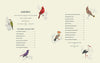 Coloready Birds