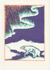 Polar Nights Boxed Set