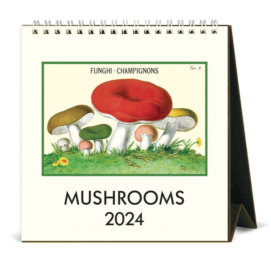 2024 Mushrooms Desk Calendar