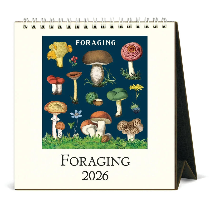 Cavallini 2026 Desk Calendars