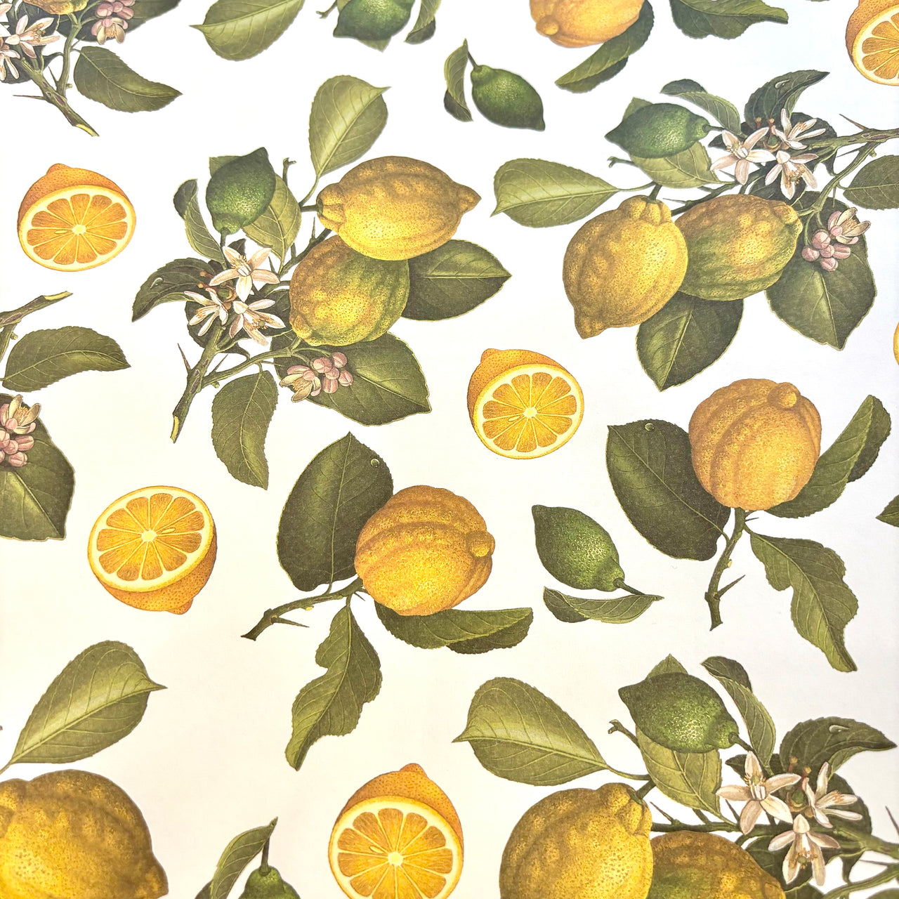 Lemons Wrapping Paper Sheet