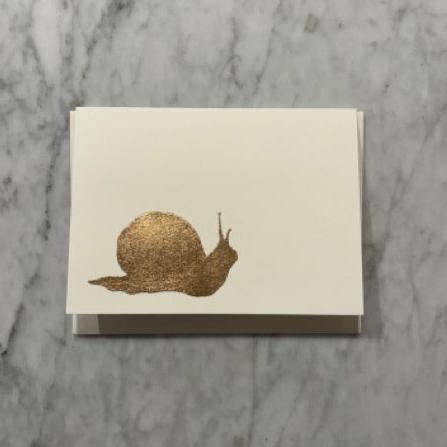 Snail, Ivory