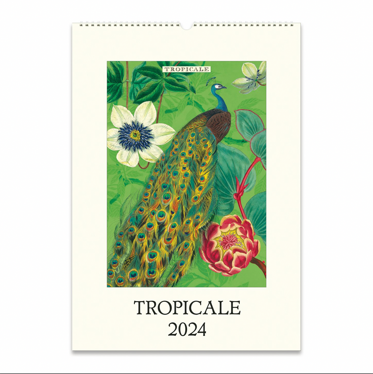 2024 Tropicale Wall Calendar
