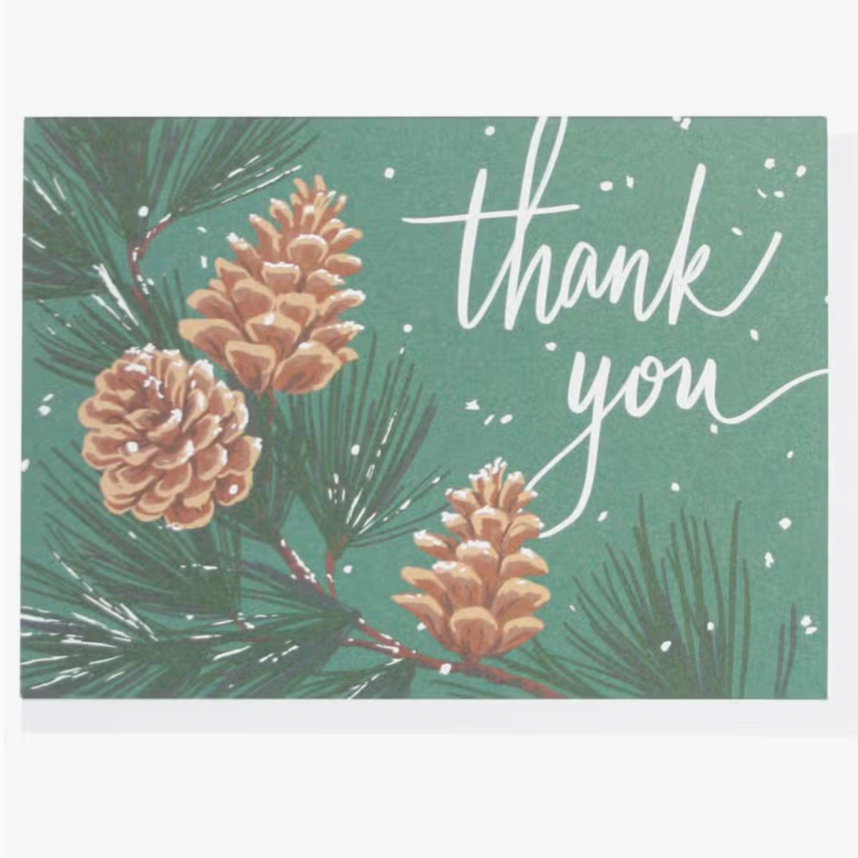 Pinecones Thank You Box of 10