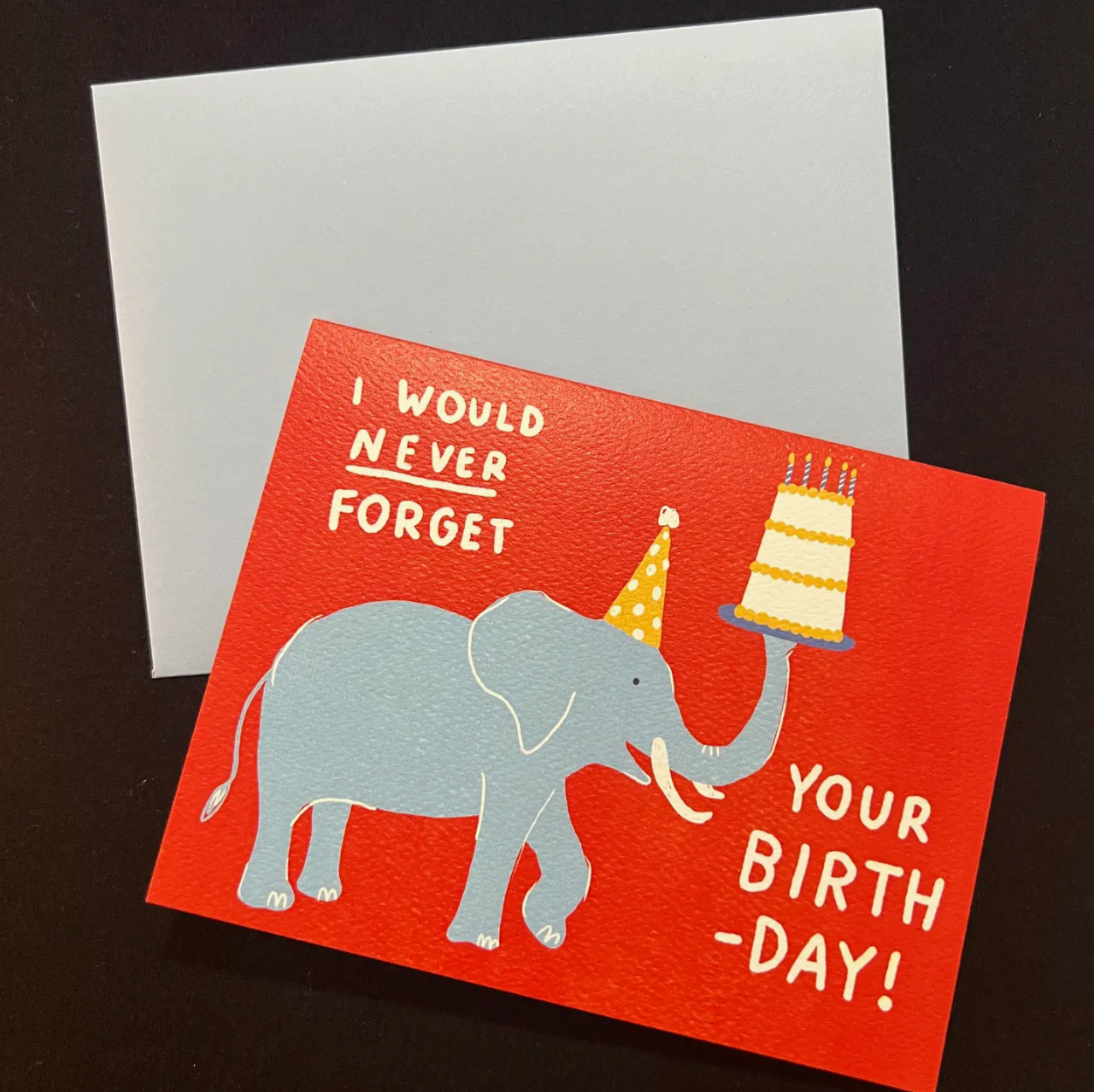 Elephant Birthday Never Forget