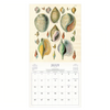 The World of John Derian Wall Calendar 2026