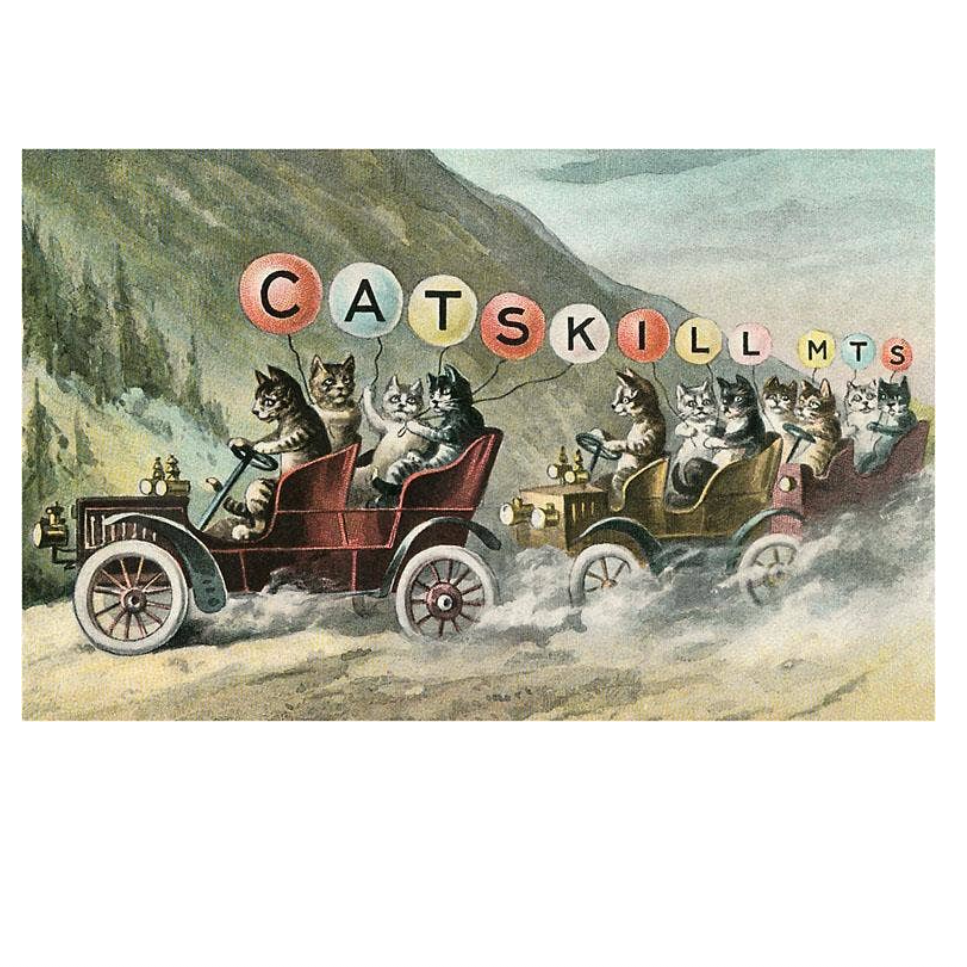 NS-671 Cats in Cars, Catskill Mountains Magnet