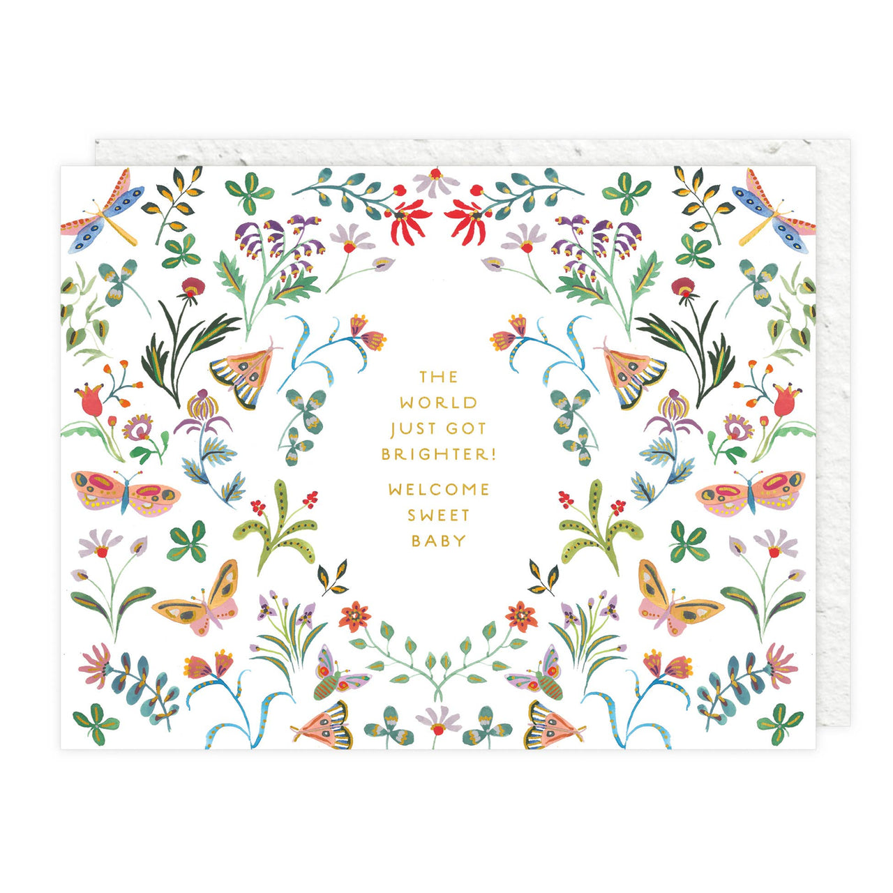 Butterfly Garden Baby