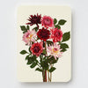 Garden Dahlias