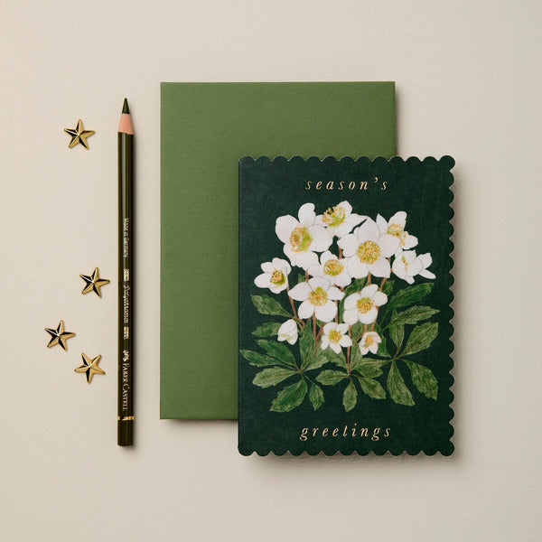 Hellebore Season's Greetings
