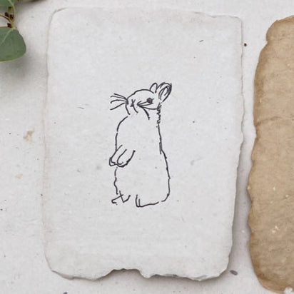 Rabbit Notecard