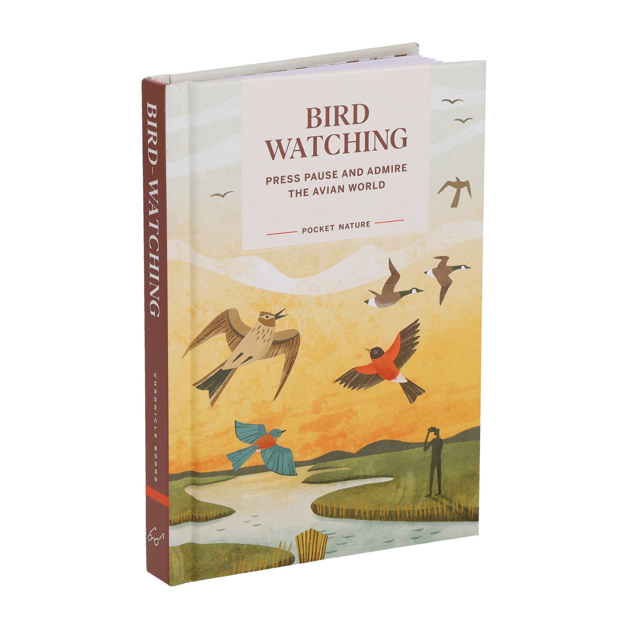 Pocket Nature: Bird-Watching