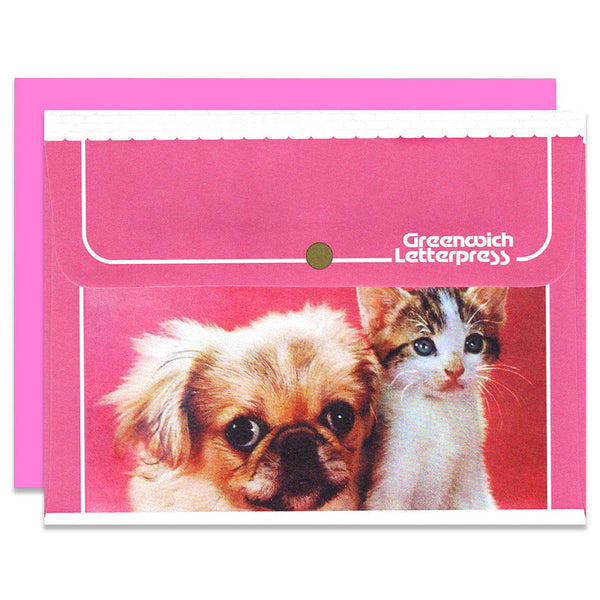 Pink Dog and Cat Friends