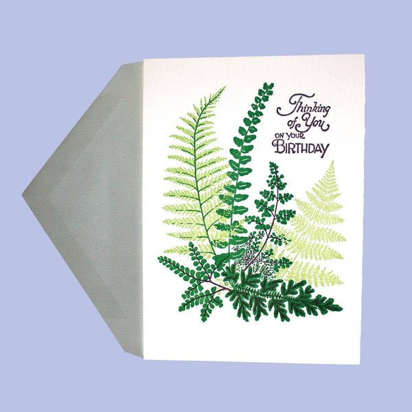 Ferns Birthday