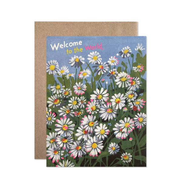 Welcome Daisies