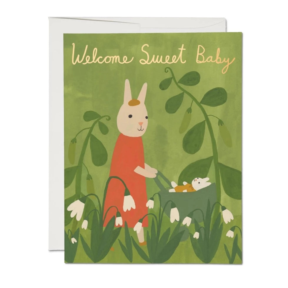 Sweet Bunny Baby